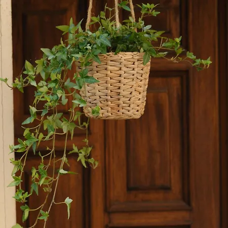 Daire Borgo E Anguillara Sabazia