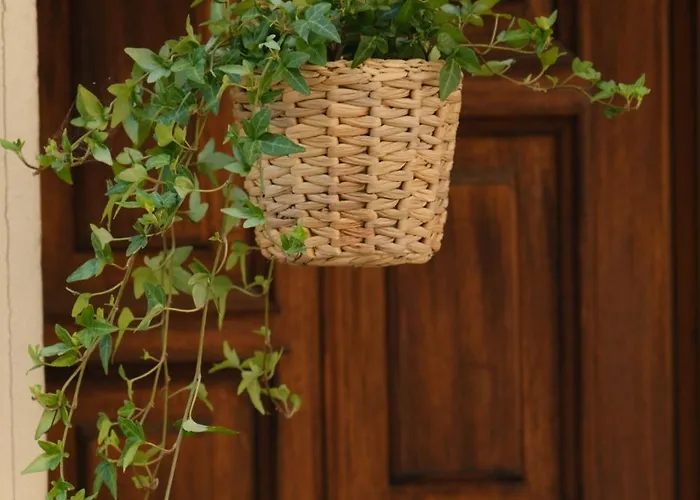 Διαμέρισμα Borgo E Anguillara Sabazia